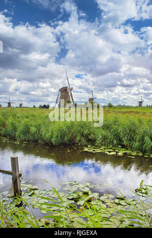 Holländische Landschaft mit Windmühlen in einem Feld und dramatische Wolken Stockfoto