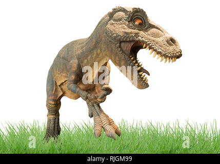 Dinosaurier in der Wiese, auf einem weißen Hintergrund. Stockfoto