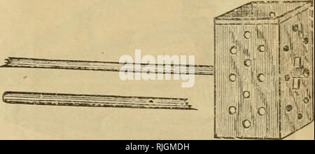 . Bienen und Honig: Unsere 40th Edition illustrierter Katalog&amp; Preise, von Arbeitsgeräten für Biene Kultur mit Anweisungen für ihre Benutzung. A. I. Root Unternehmen ; biene Kultur. c. für 10,- oder 2 $ 50 perllOO. Das Schwärmen oder Auslagerung. Für die Schwärme von Bäumen, oder andere Orte, an denen Sie die Chance zu einem Cluster zu verbinden können. Einfach das Feld im Cluster halten, oder wo die Bienen sind Clustering, und Sie werden in es kriechen auf einmal, und kann dann vorgenommen werden, wenn Sie wählen und vor dem Hive erschüttert. Preis, alle komplett, mit Pol, das Ganze ordentlich lackiert und mit Eisen Splitting, 75 c zu vermeiden, gebunden; in der Stockfoto