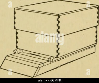 . Bienen für Vergnügen und Profit; ein Leitfaden für die Manipulation von Bienen, die Erzeugung von Honig, und die allgemeine Verwaltung der Imkerei. Bienen. Abb. 51. - Zwei typisch amerikanische Nesselsucht, maimfactured bzw. durch die falconer Co. und der G. V&gt;. Lewis Co. Bitte beachten Sie, dass diese Bilder sind von der gescannten Seite Bilder, die digital für die Lesbarkeit verbessert haben mögen - Färbung und Aussehen dieser Abbildungen können nicht perfekt dem Original ähneln. extrahiert. Samson, G. Gordon (George Gordon). London, C. Lockwood Stockfoto