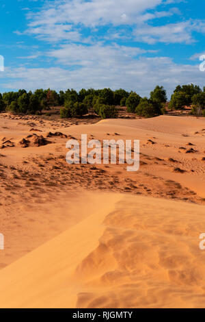 Den roten Sanddünen von Mui Ne, Vietnam ist beliebtes Reiseziel mit langen Küstenlinie. Stockfoto