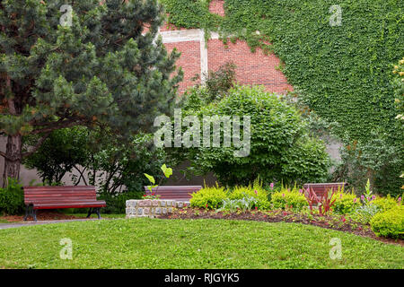 Kleiner Park Garten mit Evergreens, Sitzbank, Blumen und Efeu an der Mauer Stockfoto