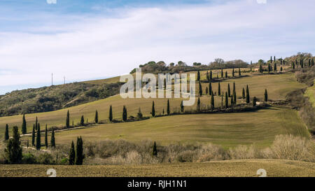Schönen Zypressen gesäumten Landstraße in La Foce, Siena, Toskana, Italien Stockfoto