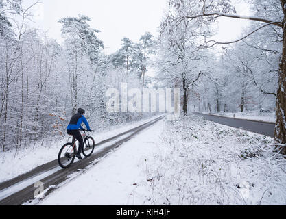 Mann auf Mountainbike folgt Trail durch den Wald im Schnee im Winter in den Niederlanden in der Nähe von Utrecht und Austerlitz auf Utrechtse Heuvelrug Stockfoto