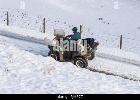 Bauer auf einem Quad mit seinem Border Collie Hund an einem verschneiten Wintermorgen in der Britischen Landschaft. Stockfoto