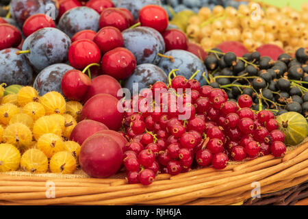 Gemischte Beeren Bio frisches Obst close-up Stockfoto