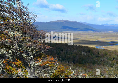 Karukinka, einem unberührten Biosphärenreservat im Herzen von Tierra del Fuego, Südchile Stockfoto