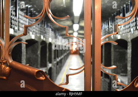 Alte verstaubte Weinflaschen im Keller gelagert, Blick durch das metall gitter Stockfoto