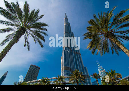 Blick auf Burj Khalifa Gebäude mit Palmen in Dubai Stockfoto