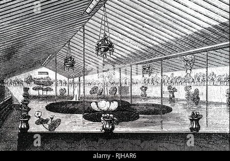 Ein kupferstich mit der Darstellung der Aquarium gebaut Victoria amazonica bei Knight und Perry's Kinderzimmer, King's Road, Chelsea House. Vom 19. Jahrhundert Stockfoto