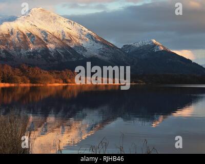 Die schneebedeckten Ullock Pike & Dodd, die von der untergehenden Sonne in Bassenthwaite Lake, Lake District National Park, Cumbria, England, Vereinigtes Königreich wider beleuchtet Stockfoto