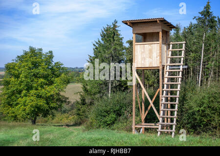 Auf einer Wiese am Rande des Waldes ausblenden Stockfoto