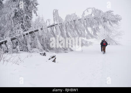 Paar wandern auf einem verschneiten Wald Trail im Winter Stockfoto