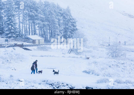 Paar spielen mit Hunden im Schnee an einem kalten Wintertag mit Schnee und Raureif an Rannoch Moor, Glencoe, Scottish Highlands, Schottland Großbritannien im Januar Stockfoto