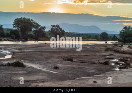 Sonnenuntergang am Ewaso Ngiro River in Samburu Park im Zentrum von Kenia Stockfoto