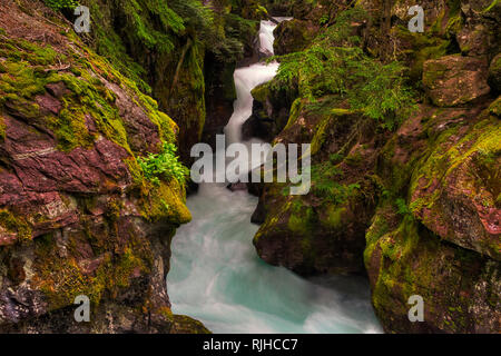 Eines der Ikonischen Bereiche auf der Westseite des Glacier National Park ist Lawine fällt. In einem alten Wachstum Zedernwald entfernt. Stockfoto
