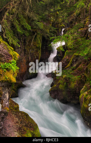 Eines der Ikonischen Bereiche auf der Westseite des Glacier National Park ist Lawine fällt. In einem alten Wachstum Zedernwald entfernt. Stockfoto