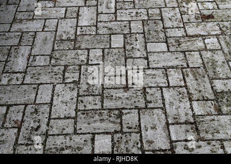 Bürgersteig, Auffahrt, Pflastersteine, Pflaster. Perspektivische Ansicht von monotonen grauen Stein Stein auf den Boden für die Straße Straße. Stockfoto