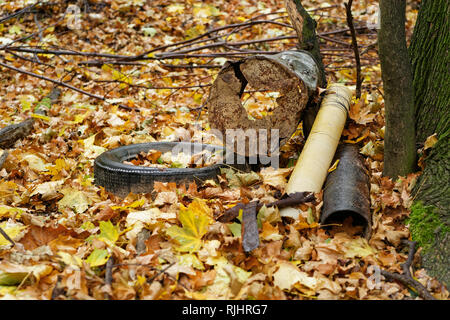 Müll im Wald auf einem Baum, Autoreifen, Metallschrott, Komponenten, Blätter im Herbst den Boden bedecken - Standort: Deutschland Stockfoto