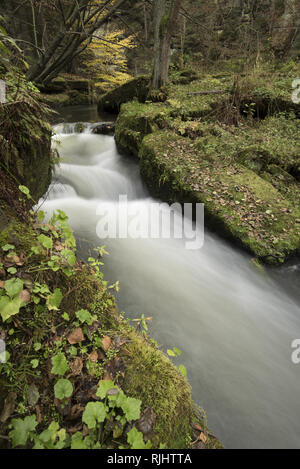 Creek in der Böhmischen Schweiz. Herbst Creek in der Fotograf Paradies in der Böhmischen Schweiz, Tschechische Republik Stockfoto