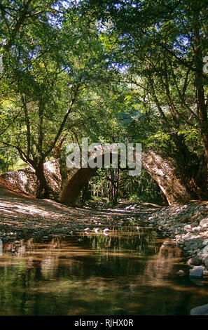 Schönen mittelalterlichen single-gewölbte Brücke über den Kelefos Dhiarizos stream inmitten dichten grünen Wald: Zypern Stockfoto