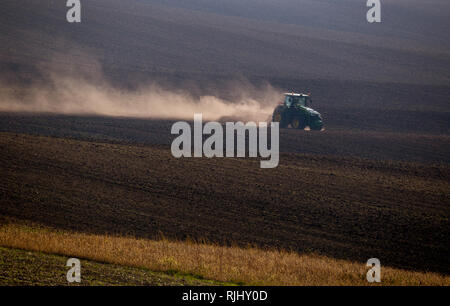 Traktor im Herbst arbeiten in den Bereichen Südmähren bei Sonnenuntergang Stockfoto