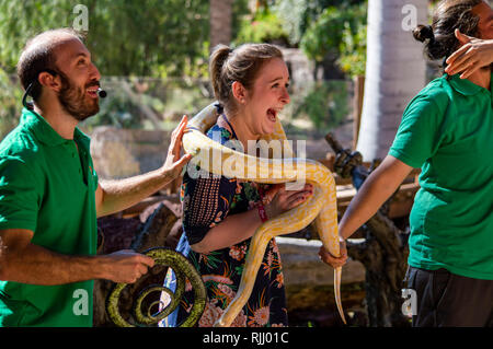 Eine Schlange an der Oasis Park in Fuerteventura, Kanarische Inseln Stockfoto