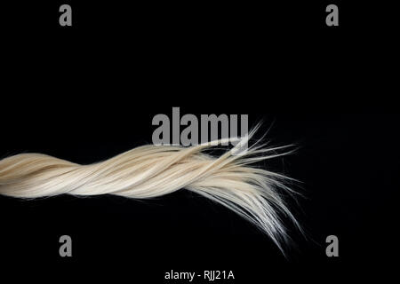 Stück blond glänzendes Haar Textur auf Schwarz. Abstrakte Fashion Style Hintergrund mit kopieren. Stockfoto