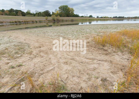 Europäischer Biber (Castor Fiber). Spuren im Sand, die zeigen, dass die Biber Zweige ins Wasser gezogen hat. Deutschland Stockfoto