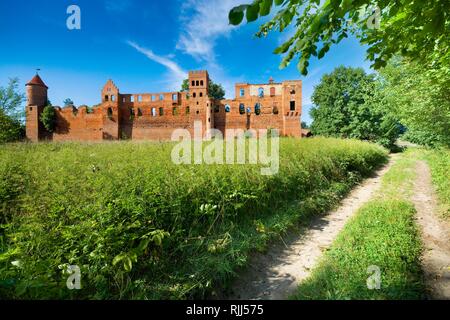 Die Ruinen der mittelalterlichen Ritter Teutonic Schloss in Szymbark, Polen (ehemalige Schönberg, Ostpreußen) Stockfoto