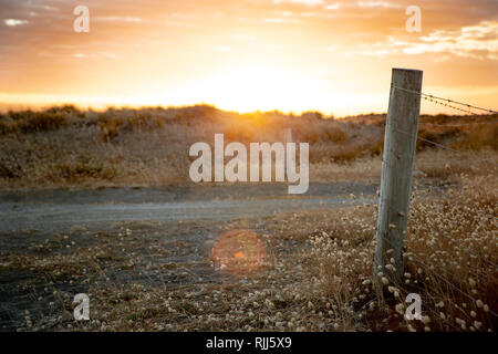 Ein goldener Sonnenaufgang über Farmland und Sanddünen am Kaitorete Spit, Birdlings Flat, Neuseeland Stockfoto