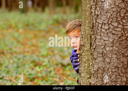 Umwandlung von Angst in die Freiheit. Kleinen Jungen fühlen sich böse Angst im Wald verloren. Little Boy hinter Baum in Angst verstecken. Mut ist der Sieg über die Angst Stockfoto