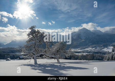 Winter Landschaft in der Nähe von Stoisser Achental und der Berg den Hochstaufen und Zwiesel im Hintergrund. Berchtesgaden, Bayern, Deutschland Stockfoto