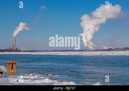 Marine City, Michigan - Kohlekraftwerke und chemischen Anlagen Linie das Eis gefüllten St. Clair River. Canvasback Enten schwimmen im offenen Gewässer in der Nähe von Stockfoto