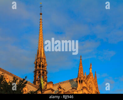 Details der reich verzierte gotische Turmspitze von der südlichen Seite der Kathedrale Notre Dame de Paris gefärbt durch das warme Licht der untergehenden Sonne gesehen Stockfoto