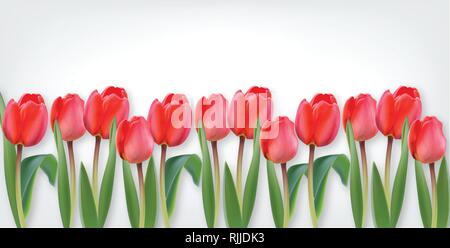 Rosa Tulpe Blumen auf weißem Hintergrund Vektor realistische banner Vorlage Stock Vektor