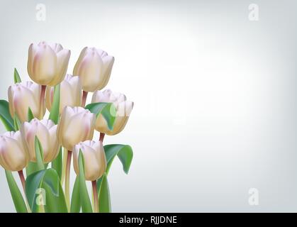 White Tulip Blumen auf isolierte Vektor realistische banner Vorlage Stock Vektor
