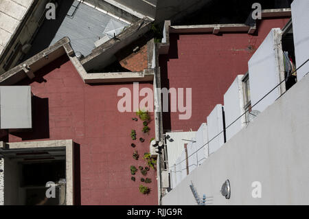 Blick von oben der Wohnung Gebäude mit kleinen Pflanzen, Tisch und Stühlen auf einer roten terracotta Hintergrund in Buenos Aires, Argentinien, Südamerika Stockfoto
