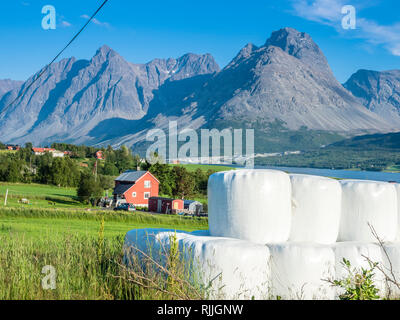 Bauernhof Häuser südlich von svensby am Kjosenfjord, Aussicht über den Fluss, steilen Berggipfeln der Halbinsel Lyngen, Norwegen Stockfoto