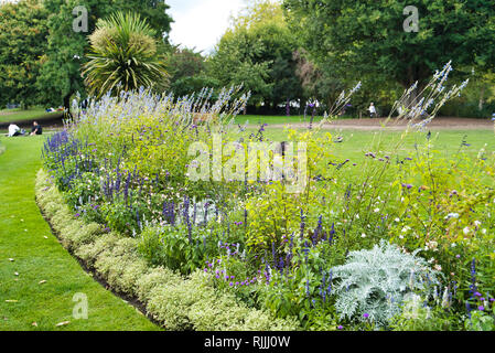 Blühende Blumen auf englischem Rasen im St. James Park, London, UK Stockfoto