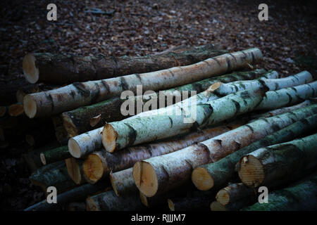 Längen von Holz in einem Haufen gestapelt. Stockfoto