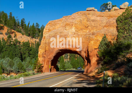 Einer der Red Canyon Arches auf Utah State Route 12 im Dixie National Forest in Utah, USA. Stockfoto