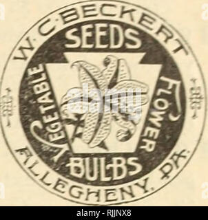 . Beckert von Glühlampen. Verkaufskataloge Samen; Lampen (Pflanzen) Samen Samen Kataloge Kataloge; Blumen; Garten Werkzeuge Kataloge. Tulpen.. Bitte beachten Sie, dass diese Bilder sind von der gescannten Seite Bilder, die digital für die Lesbarkeit verbessert haben mögen - Färbung und Aussehen dieser Abbildungen können nicht perfekt dem Original ähneln. extrahiert. Wm. C. Beckert (Firma); Henry G. Gilbert Baumschule und Saatgut Handel Katalog Kollektion. Allegheny, Pa.: W. C. Beckert Stockfoto