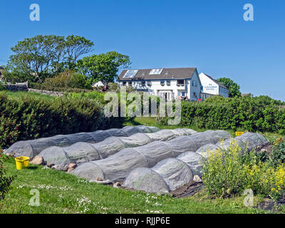 Der organische Garten in St. Columba Hotel auf der Insel Iona Inneren Hebriden Schottland Großbritannien Stockfoto