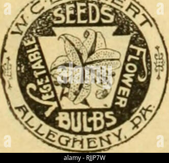 . Beckert von Glühlampen. Verkaufskataloge Samen; Lampen (Pflanzen) Samen Samen Kataloge Kataloge; Blumen; Garten Werkzeuge Kataloge. . Bitte beachten Sie, dass diese Bilder sind von der gescannten Seite Bilder, die digital für die Lesbarkeit verbessert haben mögen - Färbung und Aussehen dieser Abbildungen können nicht perfekt dem Original ähneln. extrahiert. Wm. C. Beckert (Firma); Henry G. Gilbert Baumschule und Saatgut Handel Katalog Kollektion. Allegheny, Pa.: W. C. Beckert Stockfoto