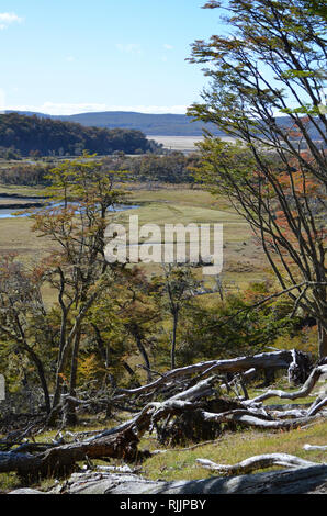 Karukinka, einem unberührten Biosphärenreservat im Herzen von Tierra del Fuego, Südchile Stockfoto