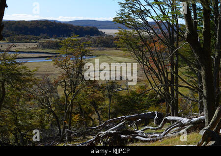 Karukinka, einem unberührten Biosphärenreservat im Herzen von Tierra del Fuego, Südchile Stockfoto