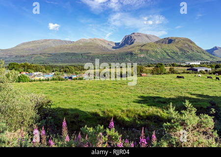 Blick auf den höchsten Berg Schottlands, dem Ben Nevis von B 8004 nördlich von Spean Bridge in der Nähe von Fort William Highland Schottland Großbritannien gesehen Stockfoto