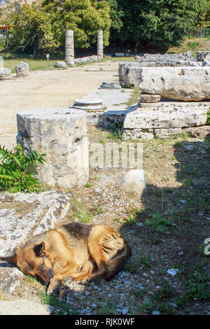 Die archäologische Stätte von Paestum, alten Poseidonia griechische Kolonie Stockfoto