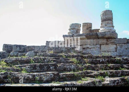 Römische amphiteathre in der archäologischen Stätte von Paestum, alten Poseidonia griechische Kolonie Stockfoto